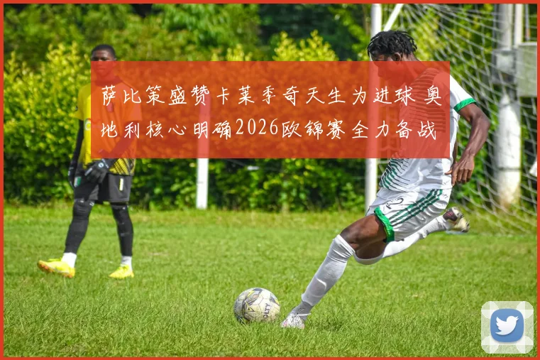萨比策盛赞卡莱季奇天生为进球 奥地利核心明确2026欧锦赛全力备战西班牙